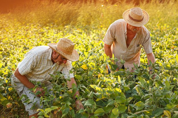 Your Guide To Farmers Market Near Burleson, TX Your Guide To Farmers Market Near Burleson, TX