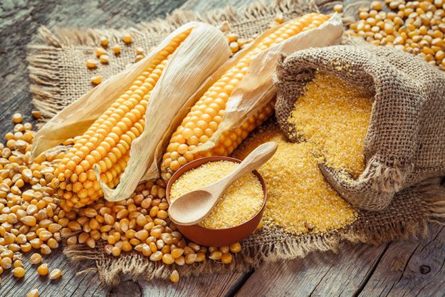 Why Your Loved Ones Should Consume More Corn