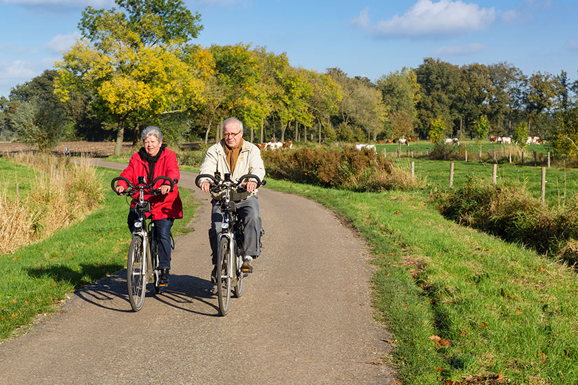 4 Senior Living Activities You Can Do At Arlington, TX