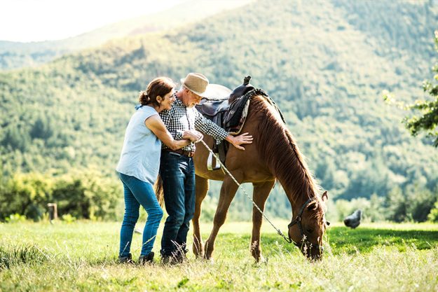 A senior couple holding a horse grazing on a pasture.