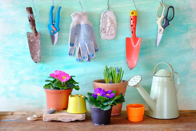 Flowers and gardening utensils, springtime gardening Flowers and gardening utensils, springtime gardening