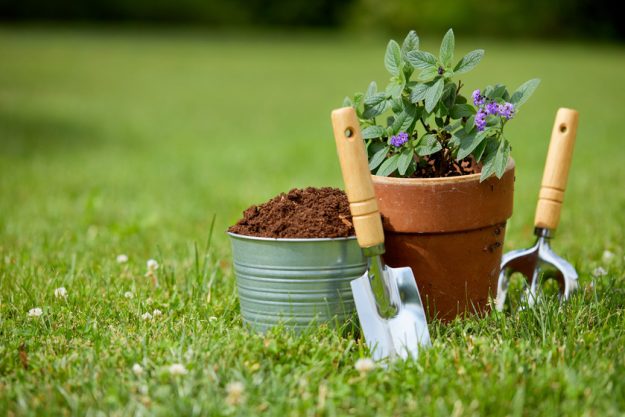 gardening tools and plants in the garden Gardening Tips For The Residents In Cypress, TX Elderly Independent Living
