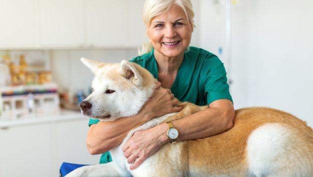 Best Pets For Seniors In Their Independent Living Apartments Best Pets For Seniors In Their Independent Living Apartments