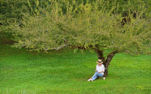 Why Aging In The Suburbs Is The Best Choice For Your Retirement