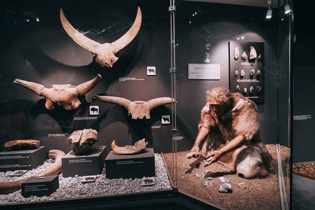 6 Best Museums To Enjoy When You Retire Near Hurst, TX 6 Best Museums To Enjoy When You Retire Near Hurst, TX