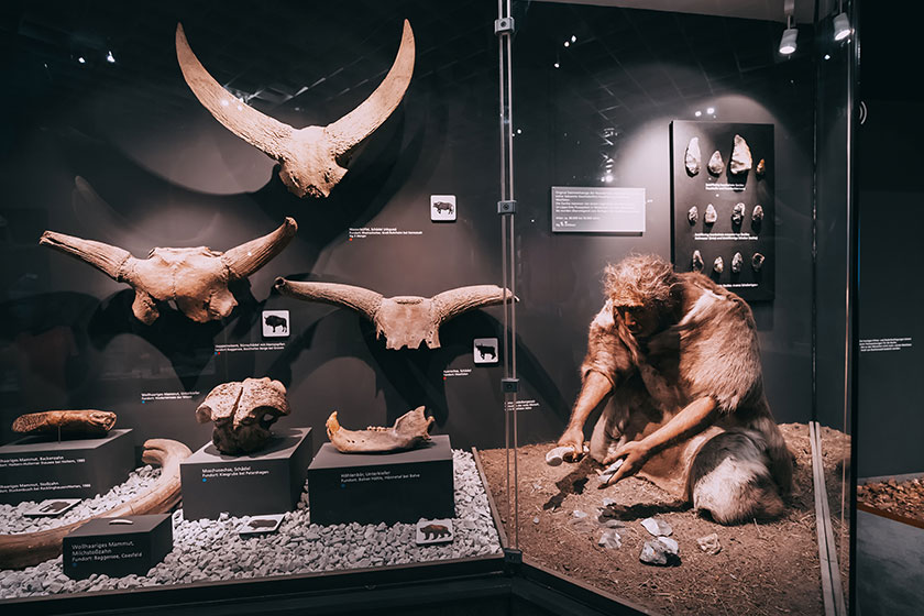 6 Best Museums To Enjoy When You Retire Near Hurst, TX