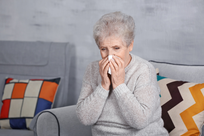 How Senior Living In La Porte, TX Protects Seniors During Allergy ...