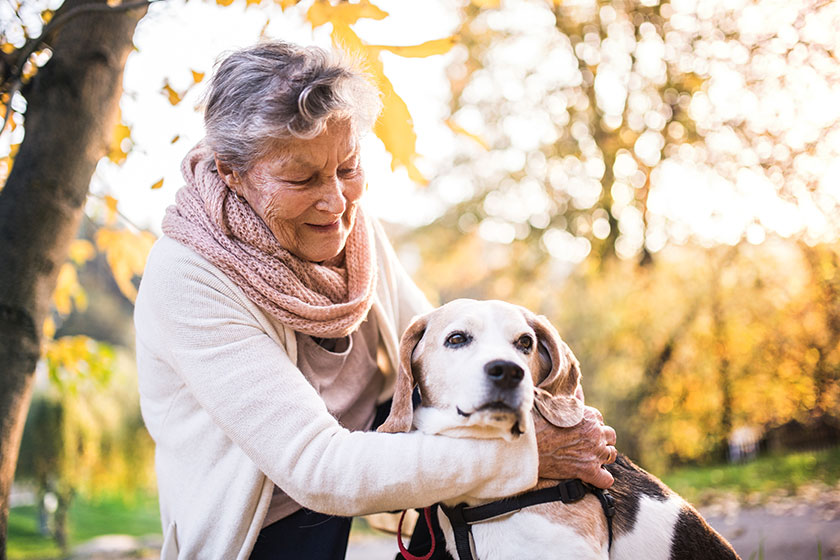 The Weather In Fort Worth, TX: Is It Good For Your Retirement?