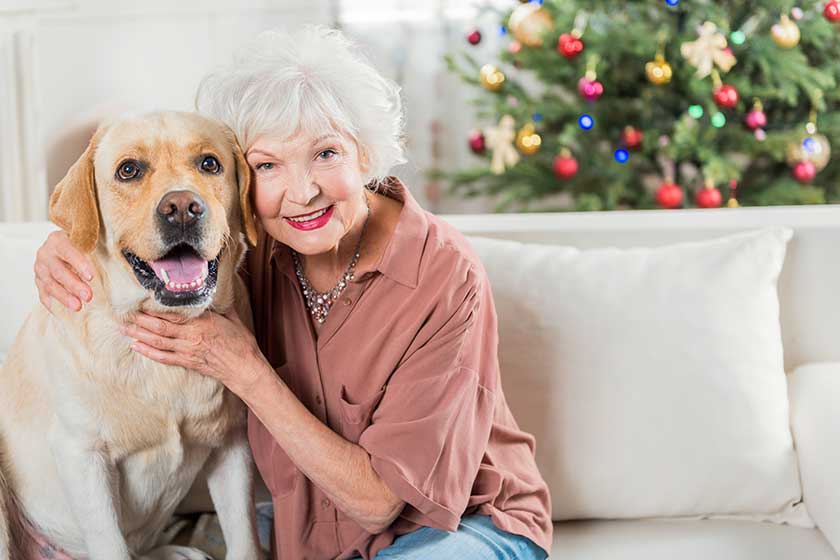Cheerful senior lady is enjoying time with her pet