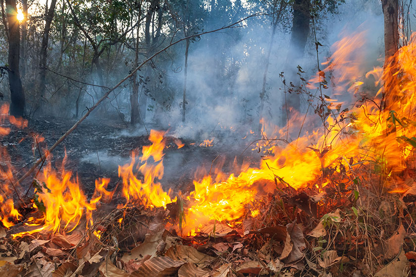 Helping Seniors Recover From Natural Disasters In Fort Smith, AR Helping Seniors Recover From Natural Disasters In Fort Smith, AR