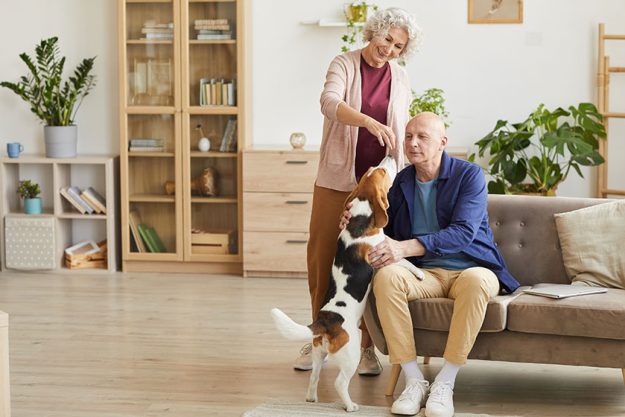 Four Benefits of Pet-Friendly Senior Apartments In Dora, AR