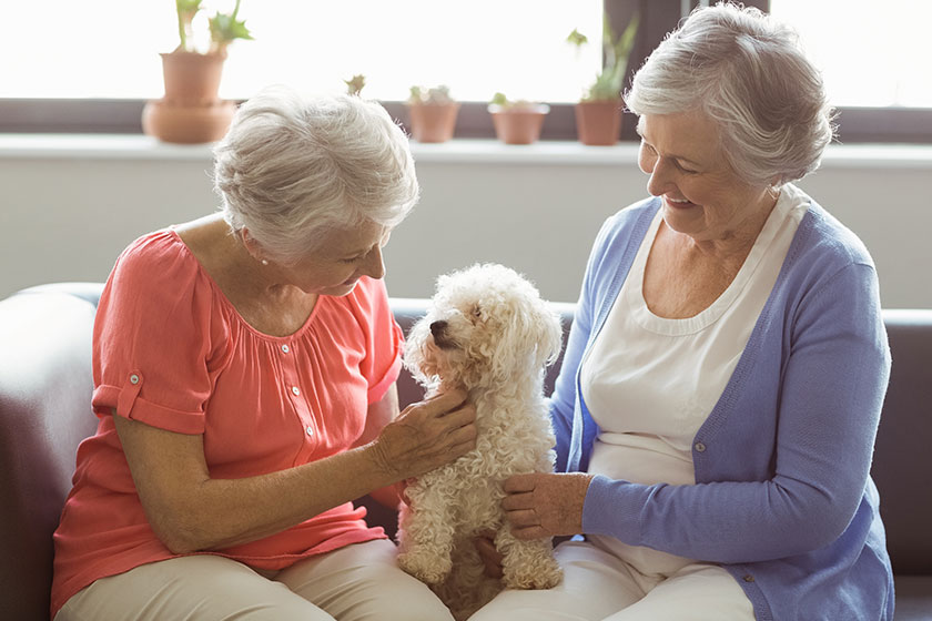 Keeping Your Furry Friend In A Pet-Friendly Assisted Living In Kingwood, TX Keeping Your Furry Friend In A Pet-Friendly Assisted Living In Kingwood, TX
