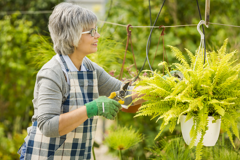 5 Things To Consider When Bringing Your Plants To Your Senior Living Community In Tulsa, OK