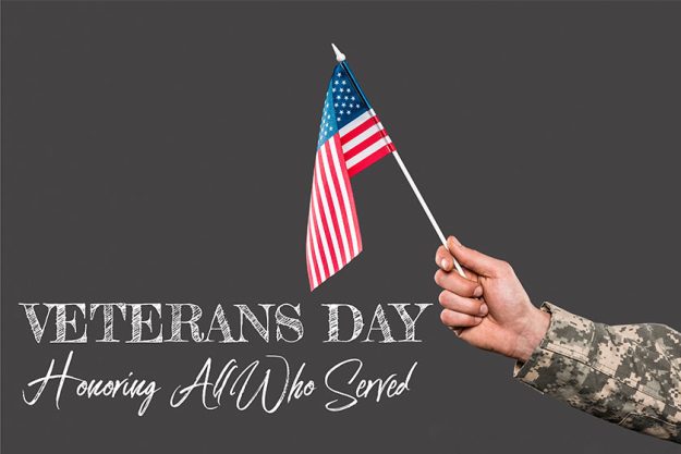 Soldier Holding American Flag Veterans Day Lettering Grey