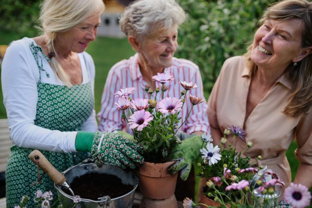 Happy senior women friends planting flowers together outdoors, laughing, community garden concept. A Guide To Instant Mood Boosting When Staying In An Independent Retirement Community In Sublett, TX