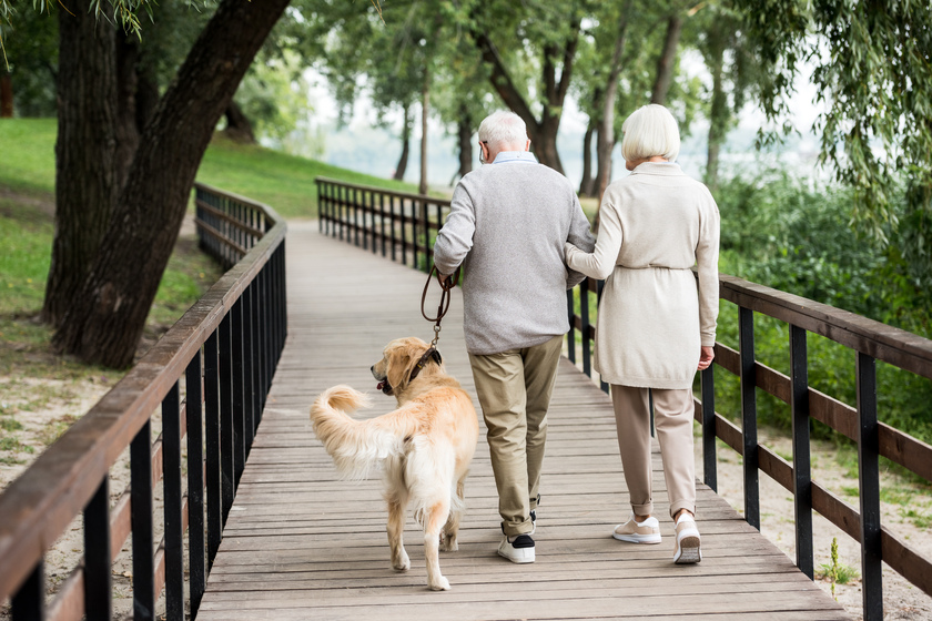 going-out-with-your-pets-x-best-activities-to-try-near-senior-living-apartments-in-seabrook-tx Going Out With Your Pets: 10 Best Activities To Try Near Senior Living Apartments In Seabrook, TX