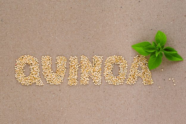 Quinoa word with basil Why You Should Include Quinoa In Your Meal Planning