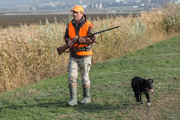 man gun his hands orange vest pheasant hunt