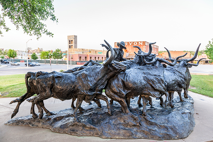 Longhorn cattle drive statue in Fort Worth Longhorn cattle drive statue in Fort Worth