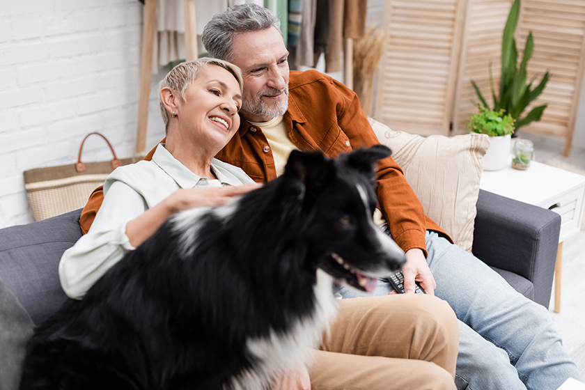 Positive senior woman petting blurred border collie dog