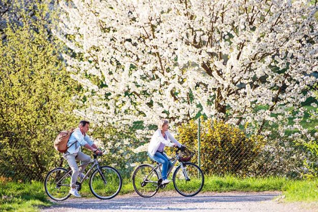 Beautiful senior couple with bicycles outside in spring nature