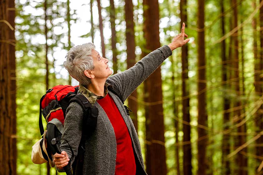 Elderly Caucasian woman with backpack going on a hike and pointing with her hand at the tall trees of a redwood forest. Exercise in maturity and retirement