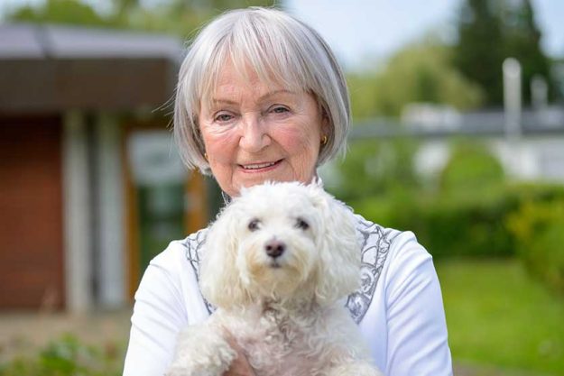 Portrait grandmother lady her eighties lovingly holds her dog her Portrait grandmother lady her eighties lovingly holds her dog her