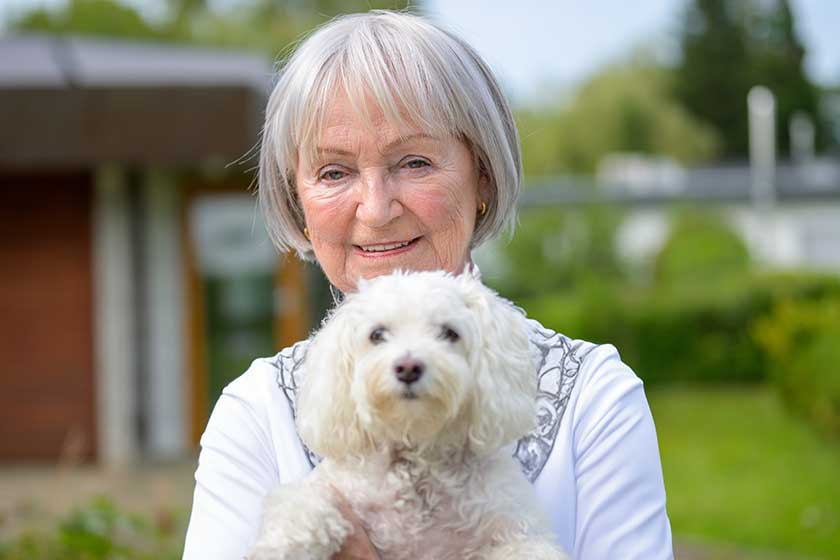 Portrait grandmother lady her eighties lovingly holds her dog her