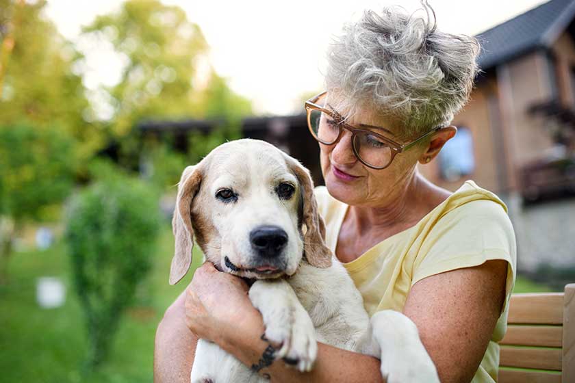 What To Ask When Picking A Pet-Friendly Active Retirement Home In ...