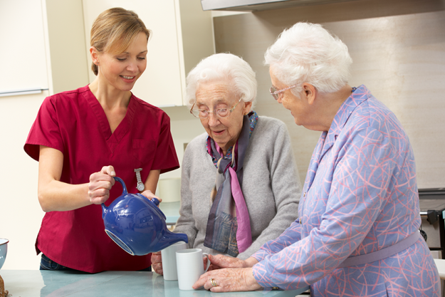 Senior women at home with carer