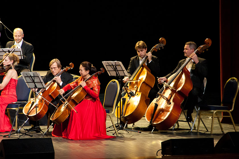 bass party orchestra