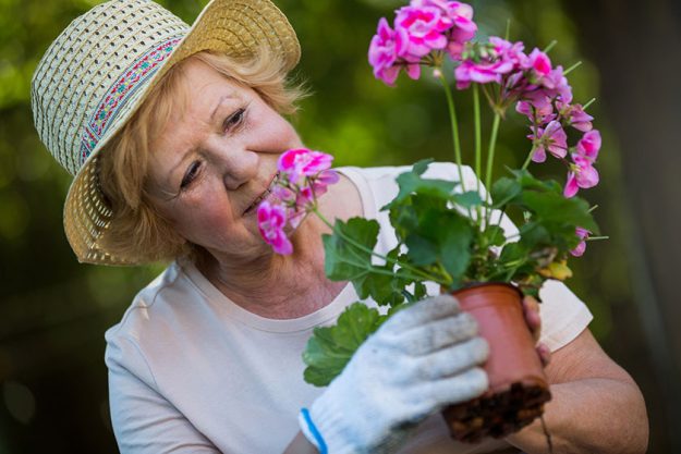 Senior woman holding pot plant in garden Senior woman holding pot plant in garden