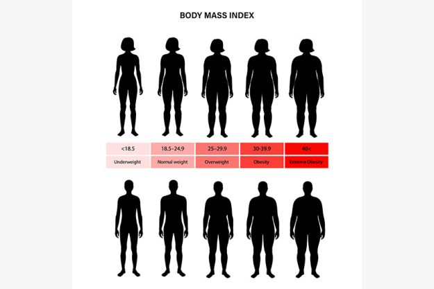 body mass index body mass index