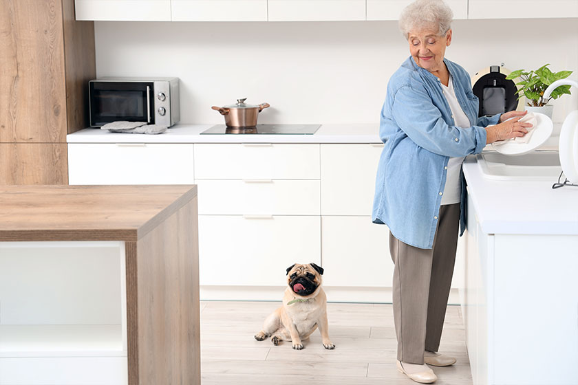 Senior woman pug dog washing dishes kitchen