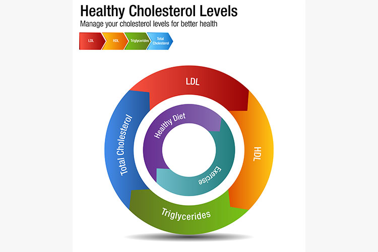 Total blood cholesterol hdl ldl triglycerides chart