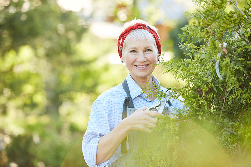 Waist portrait senior woman smiling camera posing while working farm Waist portrait senior woman smiling camera posing while working farm