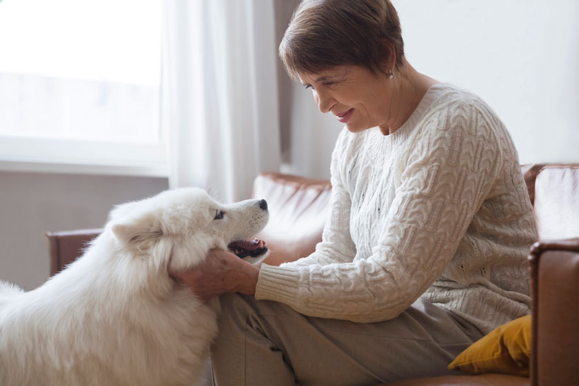 15 questions to consider in pet friendly respite care homes research in oklahoma city ok img