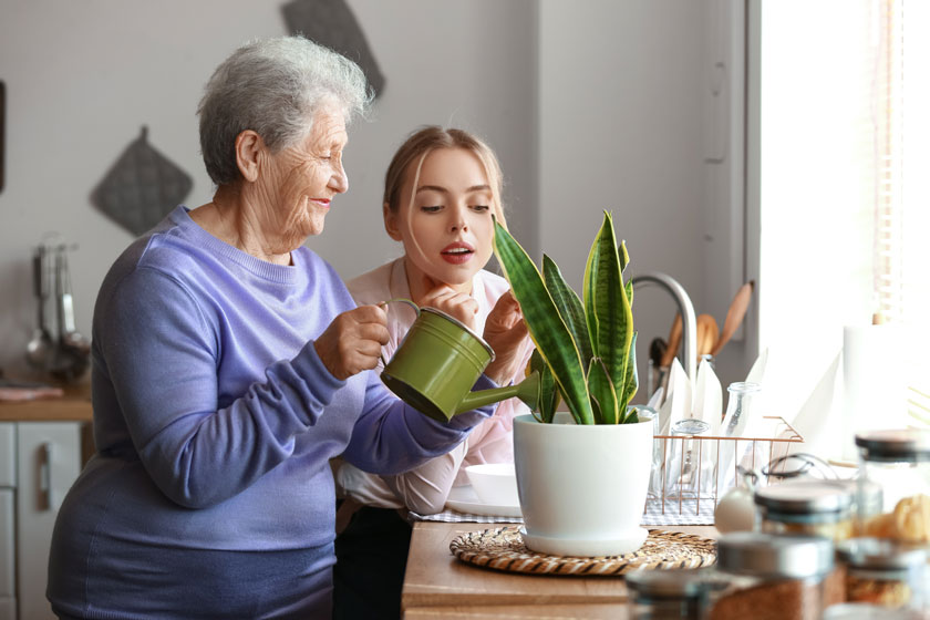 5 Ways Senior Living In McKinney, TX Supports Your Eco-Friendly Lifestyle