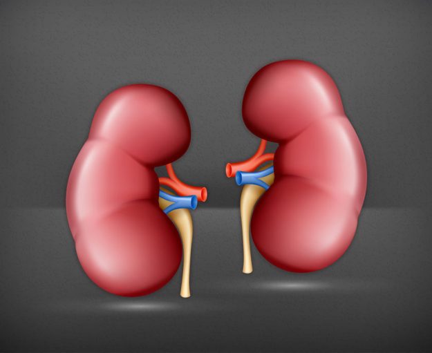 kidney health management tips for seniors img