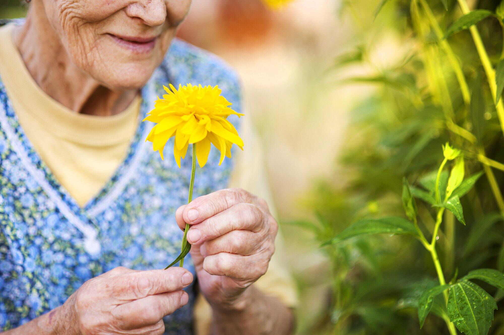 Detail of senior woman in apro