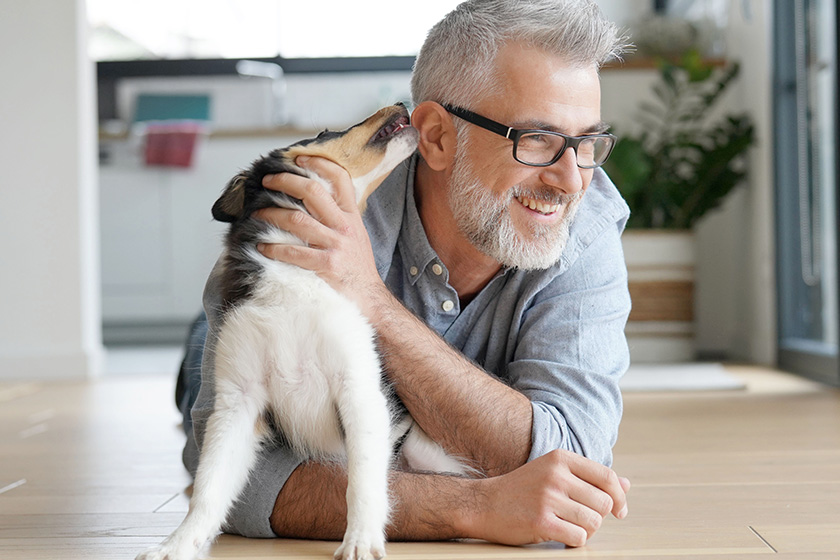 man puppy dog home man puppy dog home