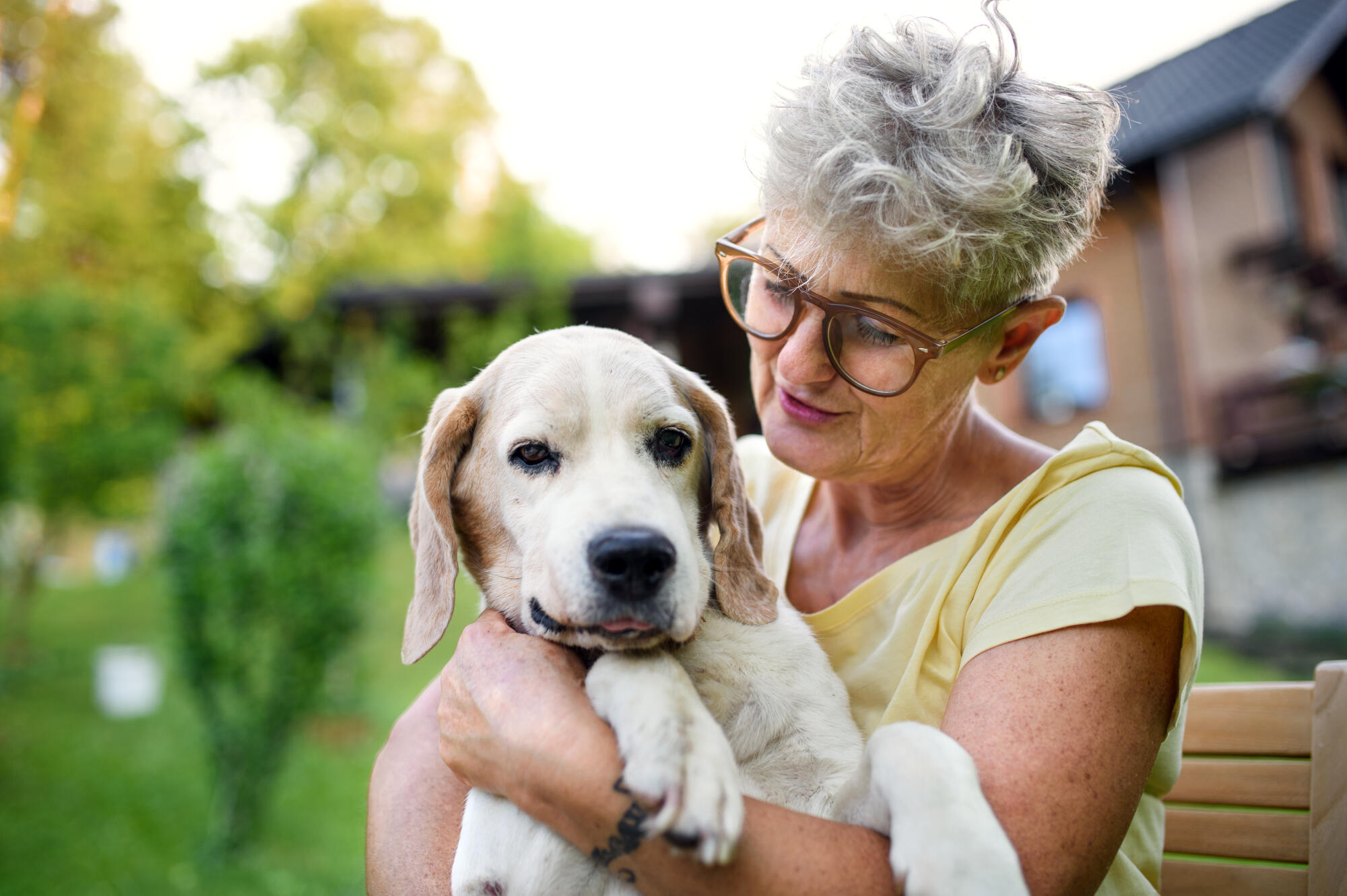Portrait,Of,Senior,Woman,Standing,Outdoors,In,Garden,,Holding,Pet