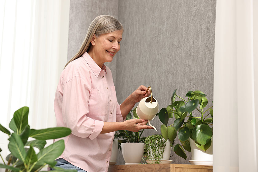 Happy housewife watering green houseplants home