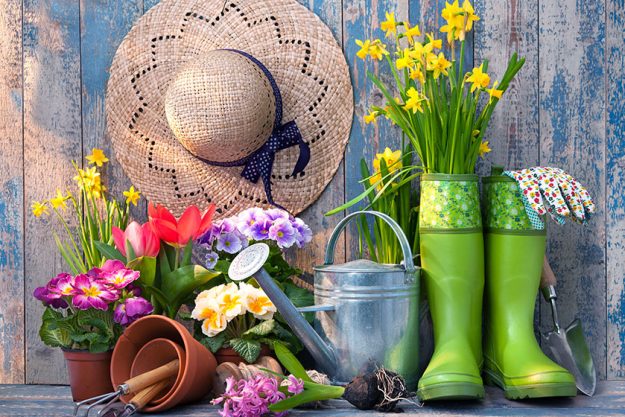 Gardening tools and flowers on the terrace Gardening tools and flowers on the terrace