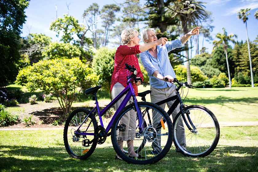 Comfort bicycles for seniors sale