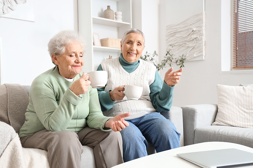 senior female friends drinking tea sofa senior female friends drinking tea sofa