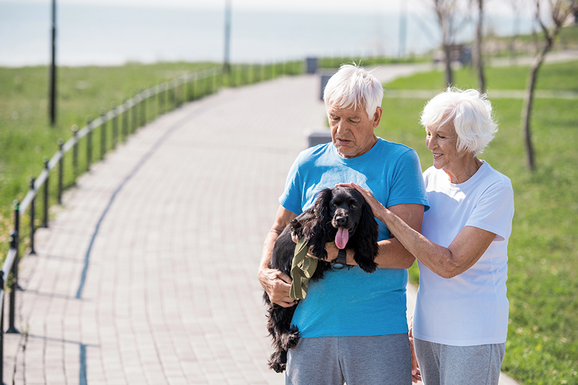 portrait active senior couple lovingly petting dog portrait active senior couple lovingly petting dog