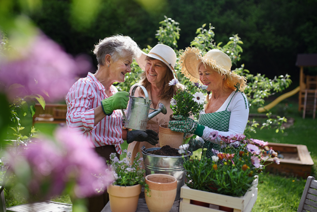 senior woman friends planting flowers