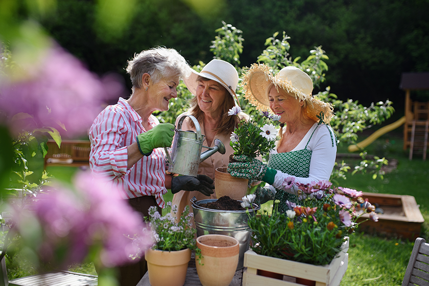 senior woman friends planting flowers