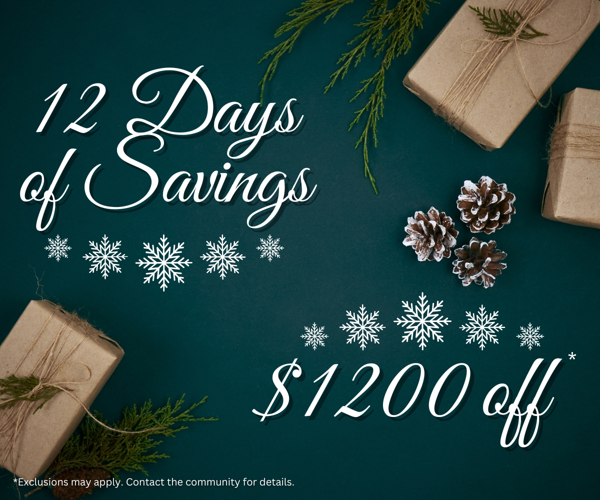 12 Days of Savings (1)